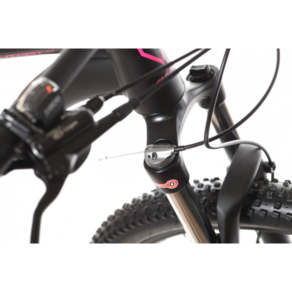 Horský bicykel AMULET 29 Night cat 3.0, black matt/pink, 2023