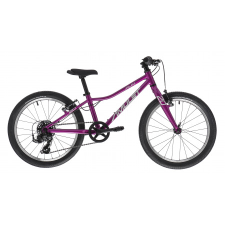 Detský bicykel Amulet 20 Fun 2023 violet/silver