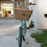 RAL 6034 Pecobikes košík Liix nantucket-liix-pet-basket-cisco-collection