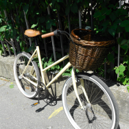 pecobikes mestsky bicykel
