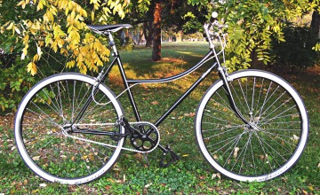 Pecobikes Jagwire