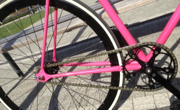 BLB chainring pecobikes