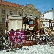 Majovy kvet Pecobikes