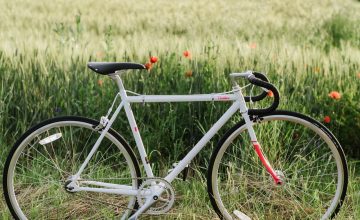 bicykel Fuji Feather1