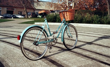 handmade Pecobikes RAL 6034